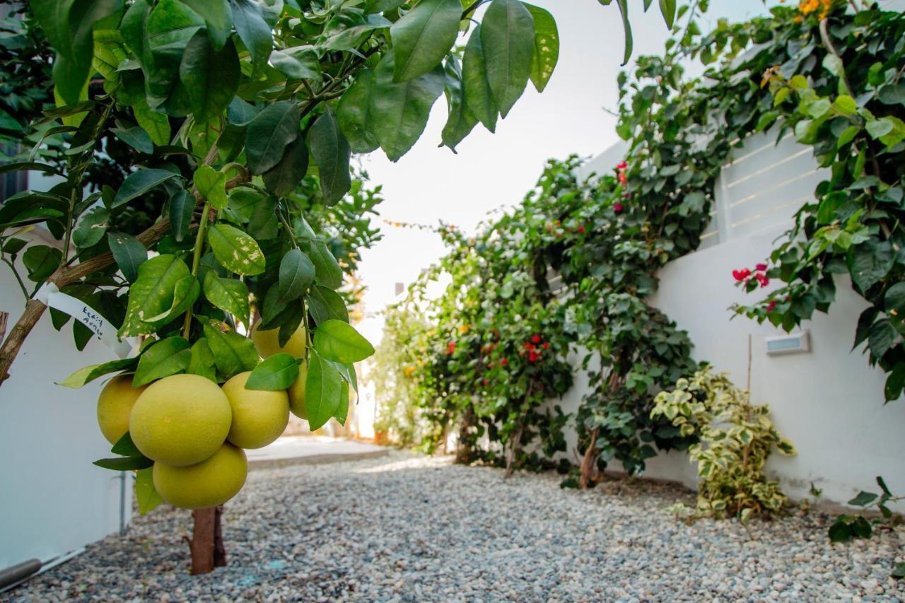Island Home Seaside Villa Paralímni Kültér fotó